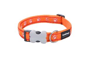 RED DINGO Dog collier Design Desert Paws Orange M 20mm x 31-47cm