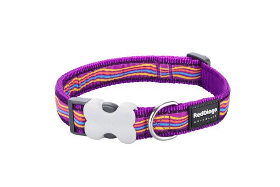 RED DINGO Dog collier Dreamstream Purple XS 12mm x 20-32cm