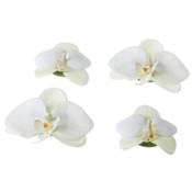 ORCHID WHITE 7/9 cm 4 pièces