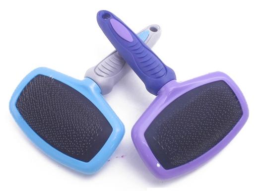 BROSSE CARDE 22CM (1PC)
