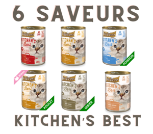 PRINCESS KITCHEN'S BEST CAT GAME 415G (GIBIER)