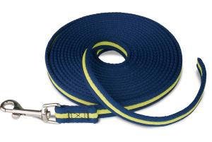 COACHI LONGE ENTRAINEMENT BLEU & JAUNE 5M