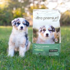 ULTRA PREMIUM SANS CEREALES CHIOT DIGESTION SENSIBLE- AGNEAU 12 KG