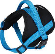 WOUAPY HARNAIS CONFORT PROTECT TL BLEU