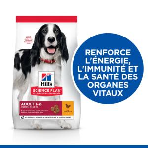 Hill's Science Plan croquettes pour Chien Adulte Medium au Poulet 12kg