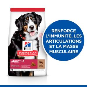 HILL'S SCIENCE PLAN croquettes pour Chien Adulte de Grande Race à l'Agneau et au Riz 12kg