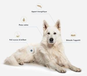 ULTRA PREMIUM HUILE DE SAUMON 500ML