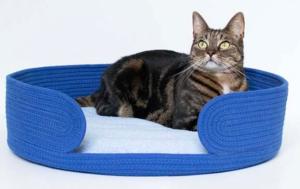COUSSIN CHAT COOCKOO LAZY LOUNGE BLEU 55CM