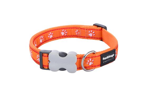 RED DINGO Dog collier Design Desert Paws Orange M 20mm x 31-47cm