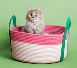 COUSSIN CHAT COOCKOO BINGE ROSE/VERT 44CM