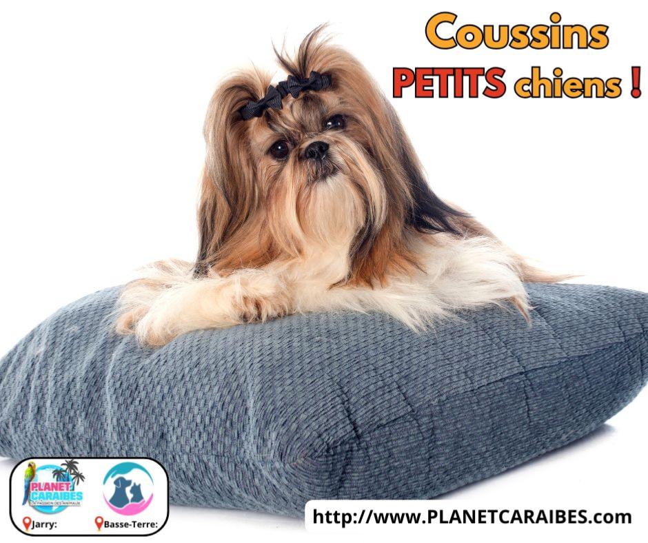   Coussins PETITS chiens