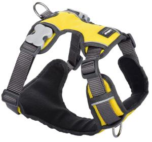 RED DINGO Padded harnais yellow XS 12mm, cou 25-36cm, corps 31-43cm