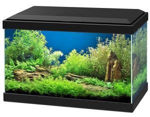 CIANO AQUARIUM AQUA 20 LED 40x20x24,8CM NOIR