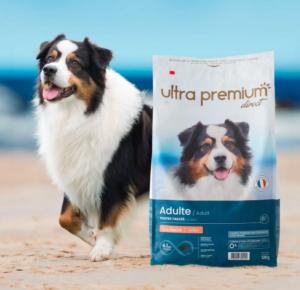 ULTRA PREMIUM CHIEN ADUTE SAUMON & RIZ 12 KG