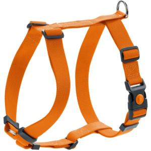 Harnais London Rapid M Cou 53 - 85 cm | Ventre 58 - 101 cm | Large 2,5 cm, orange