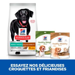 Hill's Science Plan PERFECT WEIGHT & ACTIVE MOBILITY croquettes pour Chien Adulte de Grande Race au Poulet 12kg