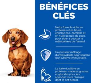 Hill's Science Plan Chien Perfect Weight S&M Dinde Boite 200g