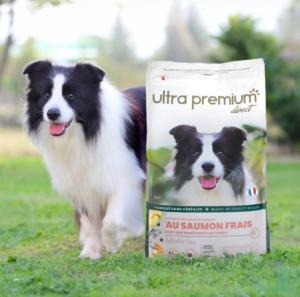 ULTRA PREMIUM SANS CEREALES CHIEN ADULTE - SAUMON FRAIS 12 KG