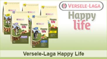 HAPPY LIFE de VERSELE LAGA