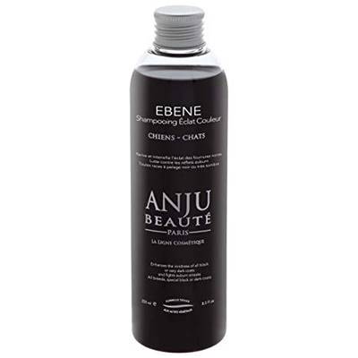 ANJU SHAMPOOING EBENE 250ML