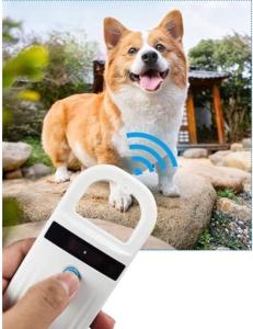 LECTEUR PUCE ELECTRO RECHARGEABLE 13CM