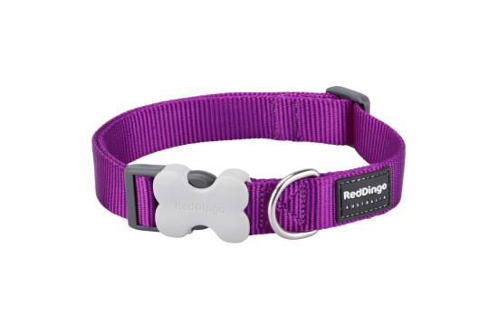 RED DINGO Dog collier Classic Giant Short Classic Purple GS 40mm x 37-55cm