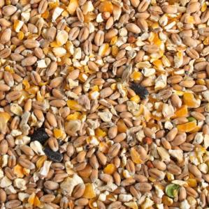 POULET MIX EXTRA 20KG