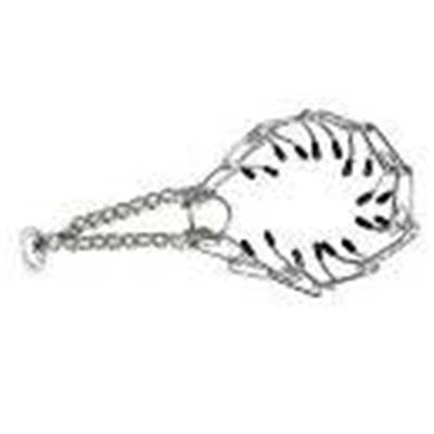 Torquatus 4mm x 60cm