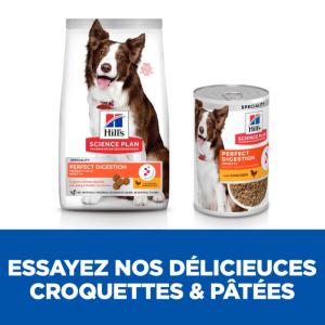 Hill's Science Plan Perfect Digestion Medium croquettes pour chien 12kg