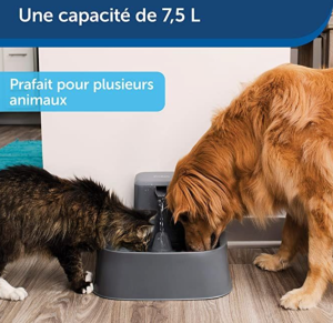 PETSAFE - FONTAINE PLASTIQUE 7.5L SANS BPA