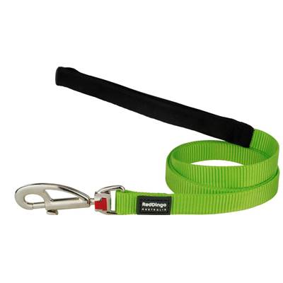 RED DINGO Dog laisse unis Classic Lime Green L 25mm x 1.2m