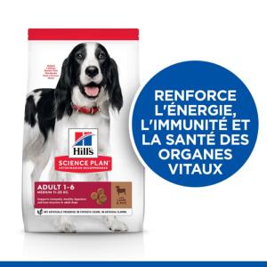 Hill's Science Plan croquettes pour Chien Adulte Medium à l'Agneau et au Riz 12kg