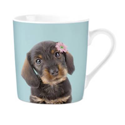 Mug Dachshund