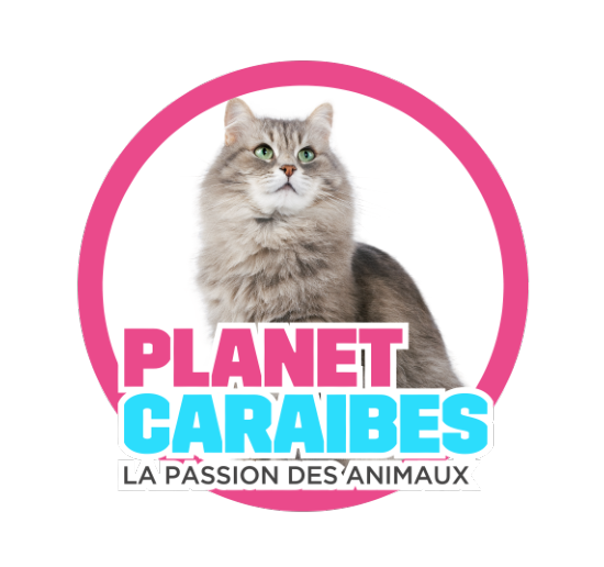 PLANET CARAIBES