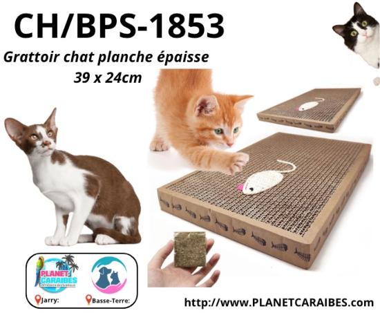 GRATTOIR CHAT PLANCHE EPAISSE 39×24CM