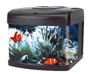 Aquarium KIT13 DELUXE 50L EAU DOUCE & EAU DE MER