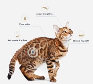 ULTRA PREMIUM HUILE DE SAUMON 500ML