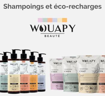  Shampooings by WOUAPY