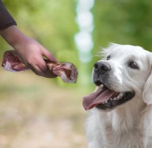 ULTRA PREMIUM OS DE JAMBON 60G