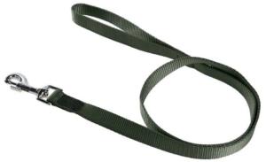 Laisse chien nylon Classic verte 16mmx120cm