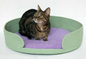 COUSSIN CHAT COOCKOO LAZY LOUNGE VERT 55CM