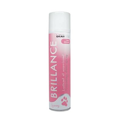 Diamex spray brillance 400ml