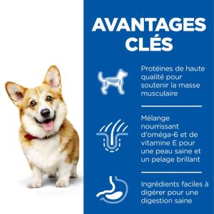 Hill's Science Plan Adult Small & Mini croquettes pour petit chien au poulet 3kg