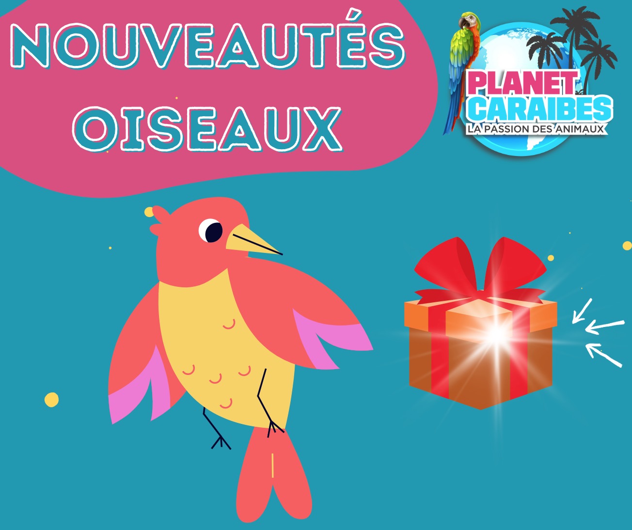 OISEAUX