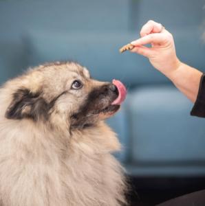 ULTRA PREMIUM FRIANDISES CHIEN PEAU & PELAGE 150G