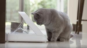 DISTRIB. NOURRITURE CONNECT